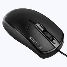 Mouse